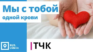 ТЧК. Мы с тобой одной крови