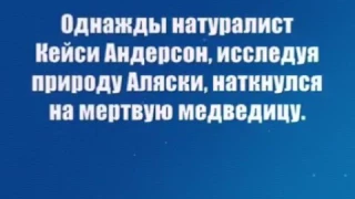 Невероятная дружба человека и медведя!