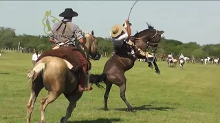 jineteada  de la fiesta del Ternero Feliciano E.R #Carlosespindola