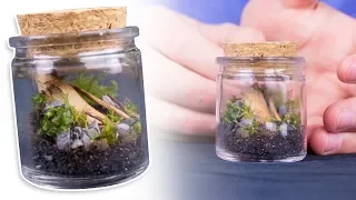 Making a MINI Detailed Terrarium