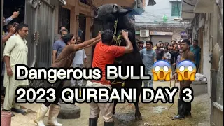 Dangerous Bull Qurbani 2023 Full Video || Part 2 Link in Description