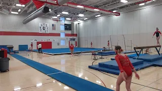 Gymnastics VS Henry Sibley
