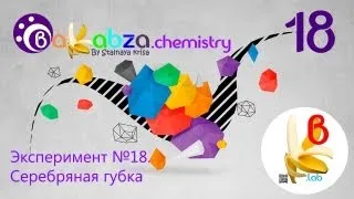 Эксперимент №18. Серебряная губка (Сu + 2AgNO3 = Ag + Cu(NO3)2)