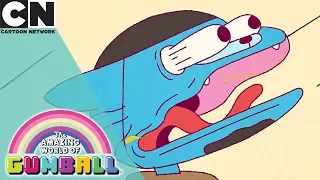 The Amazing World of Gumball | Learn How to Skate | Cartoon Network