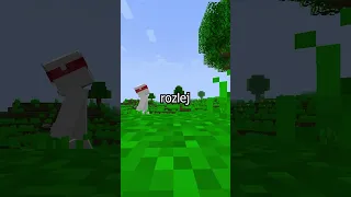 5 TRIKÓW dla POCZĄTKUJĄCYCH w MINECRAFT #shorts #minecraft