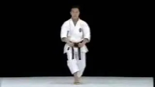 Yukimitsu Hasegawa-Jion