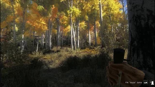 TheHunter - Timbergold Trails By DVampMil