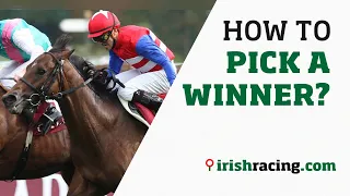 How to pick a winner? irishracing explains…