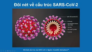 Tổng quan cập nhật về SARS-CoV2, COVID-19