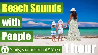 Sounds of People at the Beach (1 hour) 🎧 Seaside Sounds