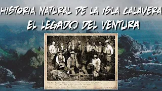 Historia Natural de la Isla Calavera - Capítulo 1: El legado del Ventura.