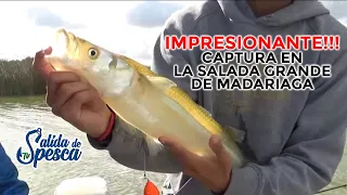 Pejerrey GIGANTE!!! en la Laguna Salada Grande de Madariaga, PESCA impresionante #pesca #pejerrey