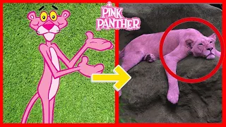 Panther Pink REAL LIFE Characters | Pink Panther and Pals 2023