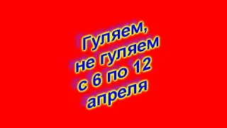 Сидим дома.Гуляем,не гуляем.Карантин. Коронавирус. Юмор. Шутка. Обзор на неделю.праздники...Прогноз.