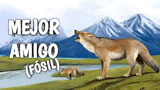 🦊(NO es un perro) MASCOTA EXTINTA  🥰