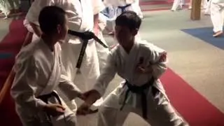 Seminar with Kancho Henri-Oh