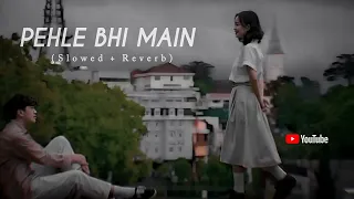 Pehle Bhi Main Tumse Mila Hun - Pehle Bhi Main [ Slowed + Reverb ] | Animal | Vishal Mishra