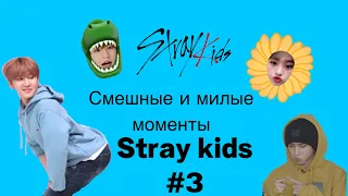 Смешные и милые моменты stray kids #3 | funny and cute moments stray kids #3 |relzness
