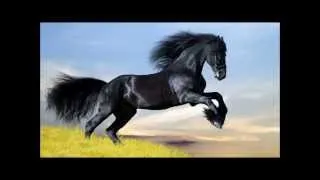 Черные кони - liberum veto