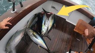 INSANE YELLOWFIN TUNA FISHING in COSTA RICA