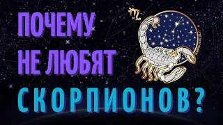 Почему не любят скорпионов? Причины не любви к скорпионам!