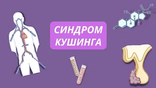 Что такое Болезнь Кушинга? | Лечение