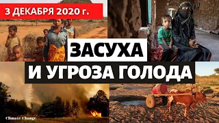 Катаклизмы за день 3 декабря 2020. Голод на Мадагаскаре! Наводнения в мире! События дня! #Burevi