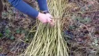 How to bind willow