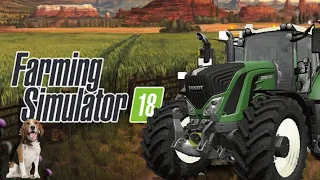 A playing fs 18!!!