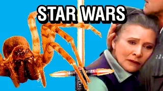 SPIDERS REACT TO STAR WARS: THE FORCE AWAKENS