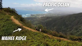 WAIHEE RIDGE TRAIL (One of the Best Hikes on Maui 🥾)