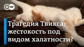 Тренировка на кошках: в России требуют уволить проводницу РЖД за жестокое обращение с животными