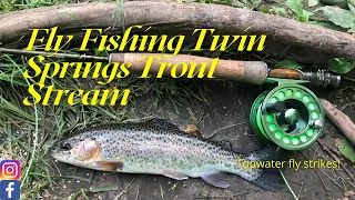Fly Fishing Twin Springs Trout Stream (Decorah, Iowa)