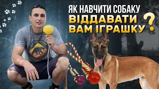 Як навчити собаку віддавати вам іграшку