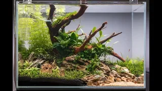 Non-CO2 Aquascape Tutorial - How to Set Up an Easy Low Energy Aquascape