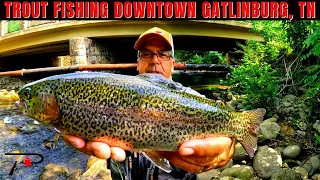Trout Fishing Downtown Gatlinburg