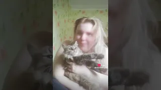 Кошечка Сири 😻😻