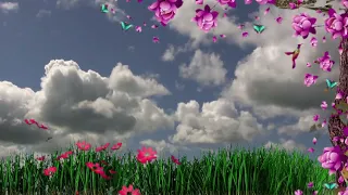 Flower Garden | Copyright free footage | Royalty Free Footage | Free to use footage