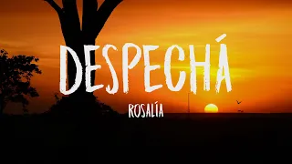 ROSALÍA - DESPECHÁ (Letra/Lyrics)