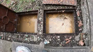 This Is Why You Shouldn't Pour Grease Down Your Drains!