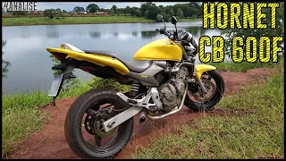 CB 600F HORNET CARBURADA. OPINIÃO DO DONO! #ANALISE