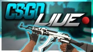 CS GO Live stream de seara, cam scurt