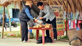 Harvesting tree cores - Wild cassava roots go to the market to sell