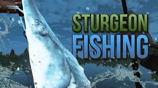 3 ways to Fish for White Sturgeon at San Joaquin Delta in Fishing Planet! $$$