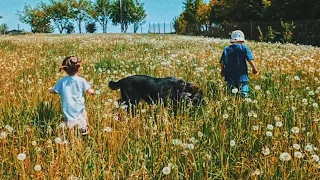 Наш Великдень✨Прогулянки🌿Домашня піца 🍕