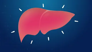 Liver Regeneration - The Body's Superhero