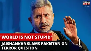 'Asking The Wrong Minister' | Jaishankar's Savage Reply To Pakistani Reporter On Terrorism