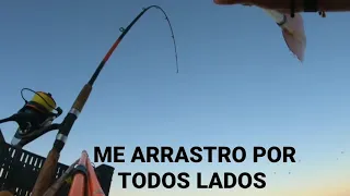 "ME PICO UN PESCADO GIGANTE EN EL ULTIMO TIRO" pesca en los lugares profundos de bunge y la piedra