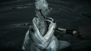 Vampire Fish | River Monsters