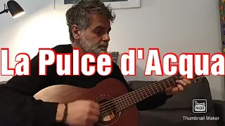 Cover chitarra acustica "La pulce d'acqua" di Angelo Branduardi